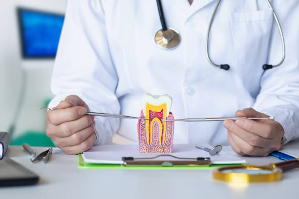 Best Emergency Root Canal Treatment in Dent, OH
